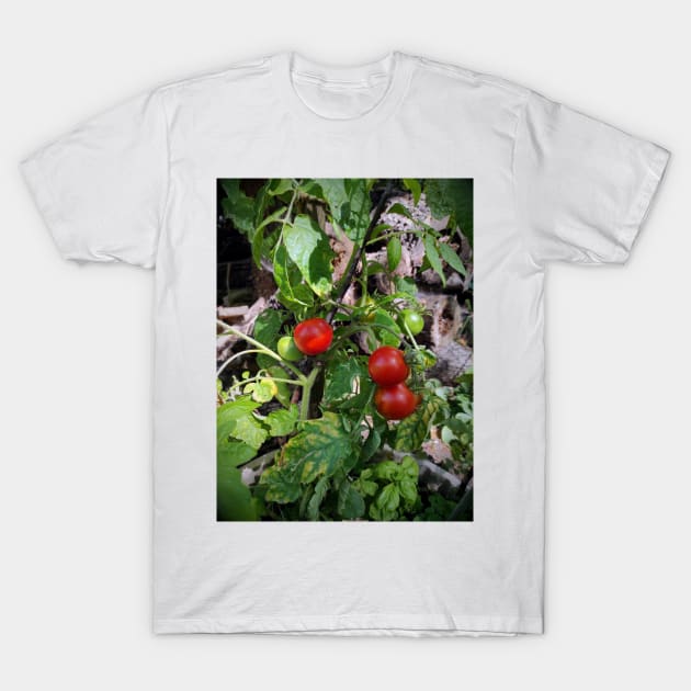 Tomatoes T-Shirt by Gourmetkater